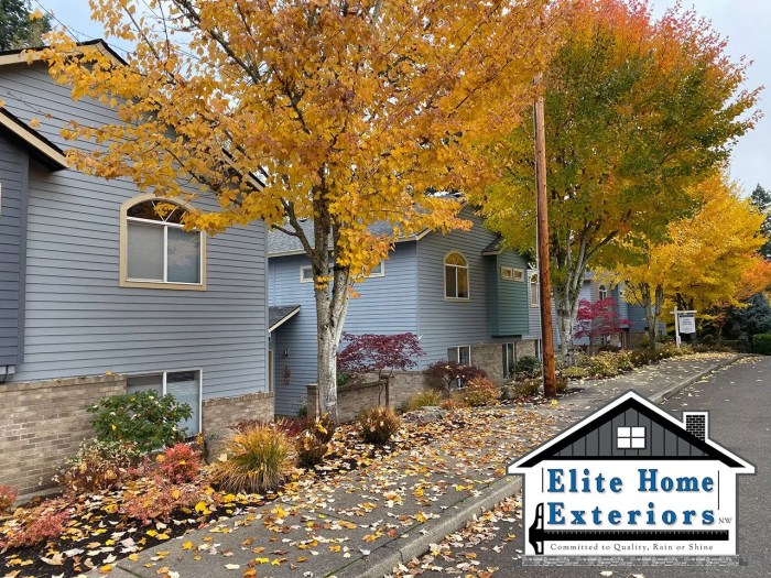 Chicagoland Area Multi-Family Siding | Pro Home 1