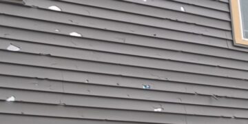 Damaged Vinyl Siding Repair for Lasting Protection