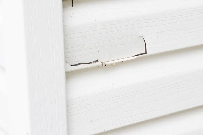 How to Repair Cracked Vinyl Siding: Expert Tips - Meaningful Spaces